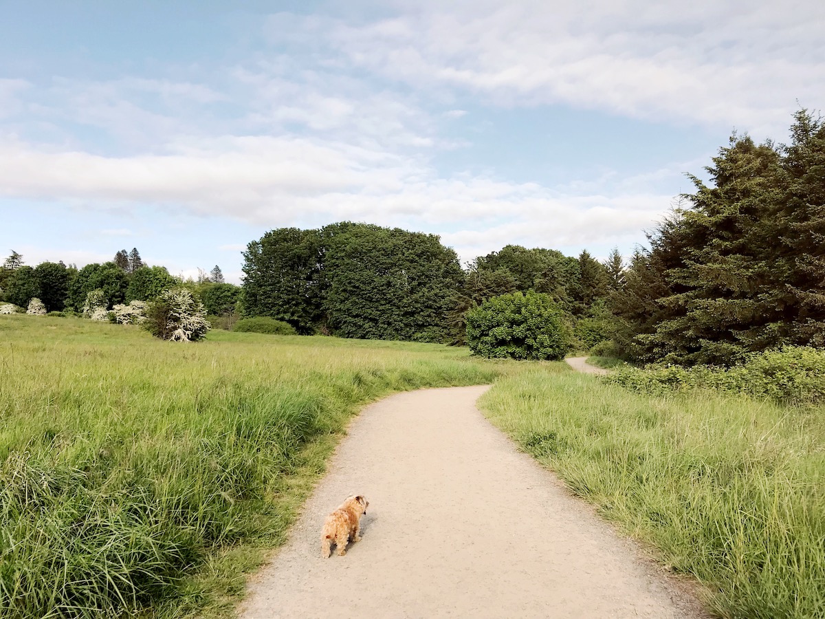 Best Parks in Seattle