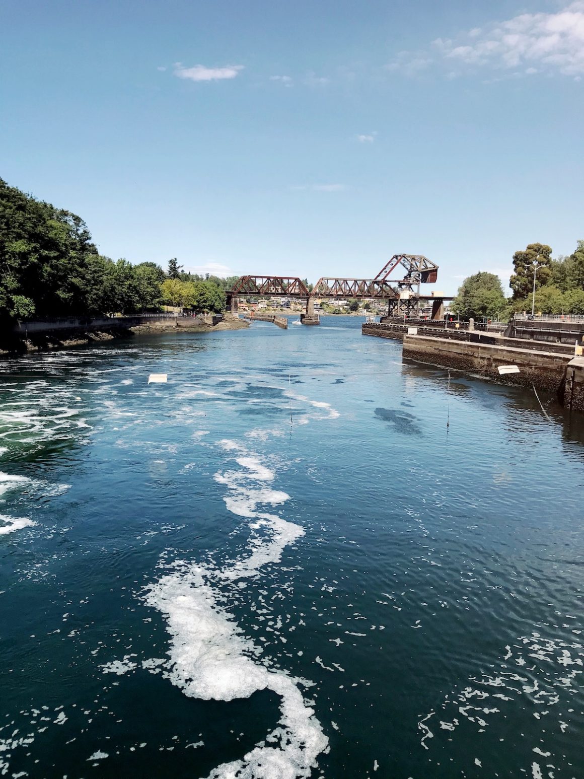 Best Parks in Seattle | Cassie Dowling Wanderlustletsgo