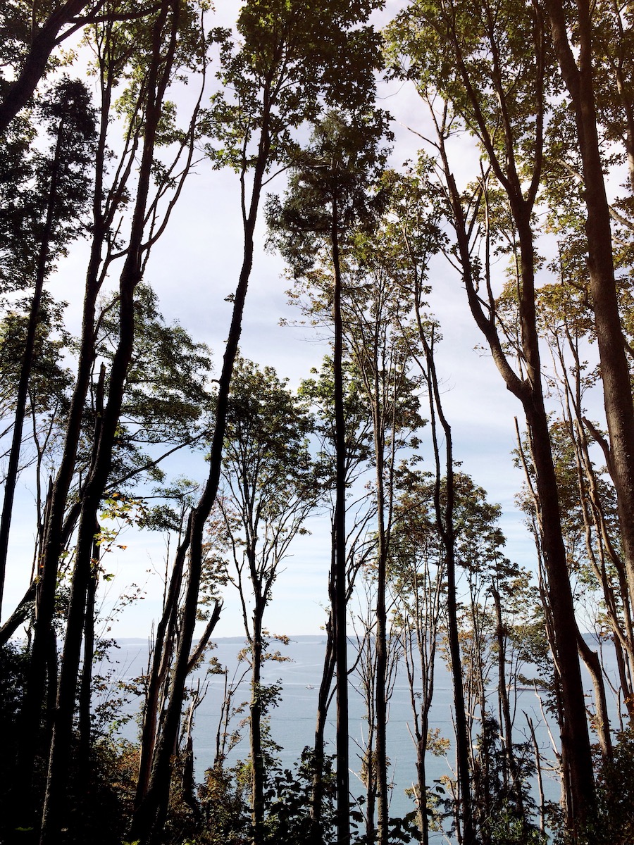 Best Parks in Seattle